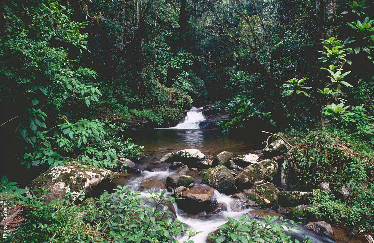 Ranomafana